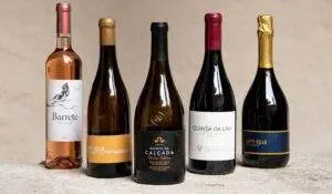 Read more about the article UVVA volta a reunir os melhores Vinhos Verdes em  Amarante