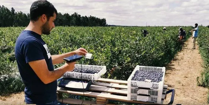 Read more about the article Wisecrop lidera movimento de digitalização do setor agrícola português