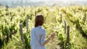 Read more about the article Produtores de vinho preocupados com aumento exagerado custo do vidro