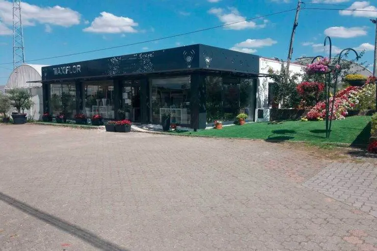 Maxiflor 768x512