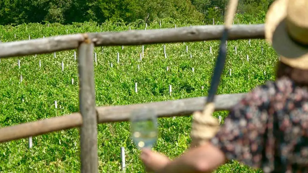 Read more about the article Roteiro Enogastronómico Verde Sentido com Inscrições Abertas para Novos Aderentes