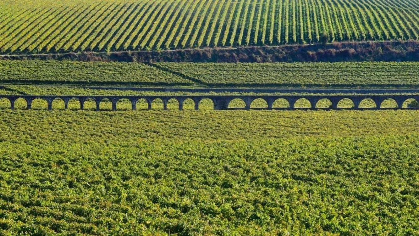 You are currently viewing Turismo nacional deverá manter tendência de crescimento em 2025